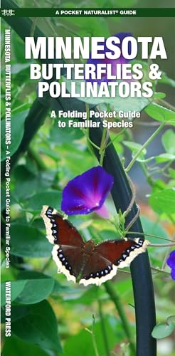 Minnesota Butterflies & Pollinators: A Folding Pocket Guide to Familiar Species cover