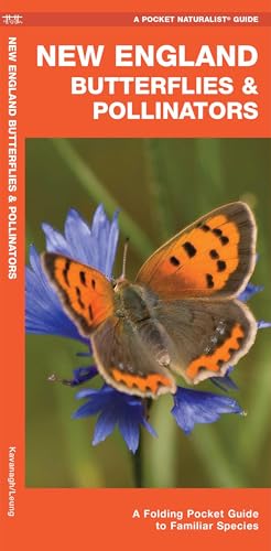 New England Butterflies & Pollinators: A Folding Pocket Guide to Familiar Species cover