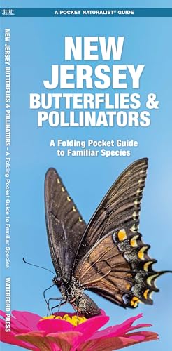 New Jersey Butterflies & Pollinators: A Folding Pocket Guide to Familiar Species cover