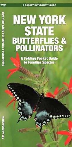 New York State Butterflies & Pollinators: A Folding Pocket Guide to Familiar Species cover