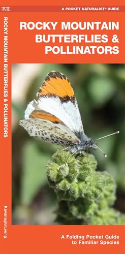 Rocky Mountain Butterflies & Pollinators: A Folding Pocket Guide to Familiar Species cover