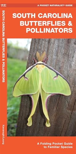 South Carolina Butterflies & Pollinators: A Folding Pocket Guide to Familiar Species cover