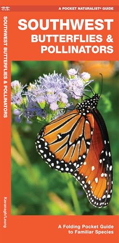 Southwest Butterflies & Pollinators: A Folding Pocket Guide to Familiar Species cover
