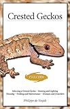 Crested Geckos From The Experts At Advanced Vivarium Systems