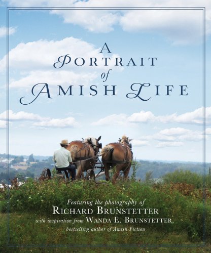 A Portrait of Amish Life book cover