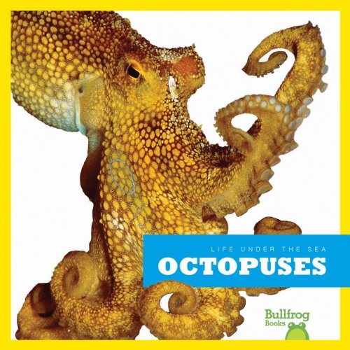 Cover of Octopuses