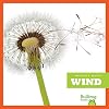 Wind (Bullfrog Books: Weather Watch)