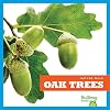 Oak Trees (Bullfrog Books: Nature Walk)