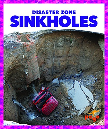 Cover of Sinkholes