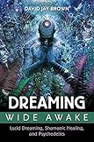 Dreaming Wide Awake Lucid Dreaming Shamanic Healing And Psychedelics