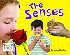 The Senses