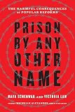 Prison By Any Other Name The Harmful Consequences Of Popular Reforms