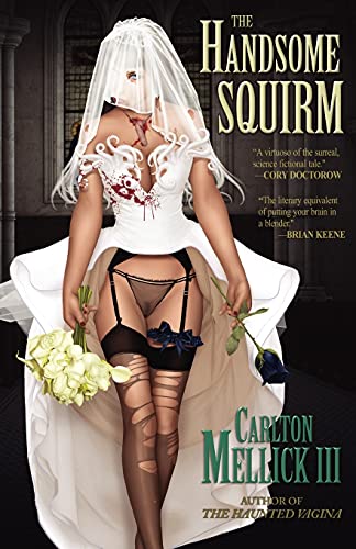 The Handsome Squirm book cover