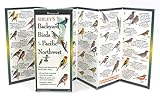 Sibleys Back Birds Of Pacific Northwest Foldingguides