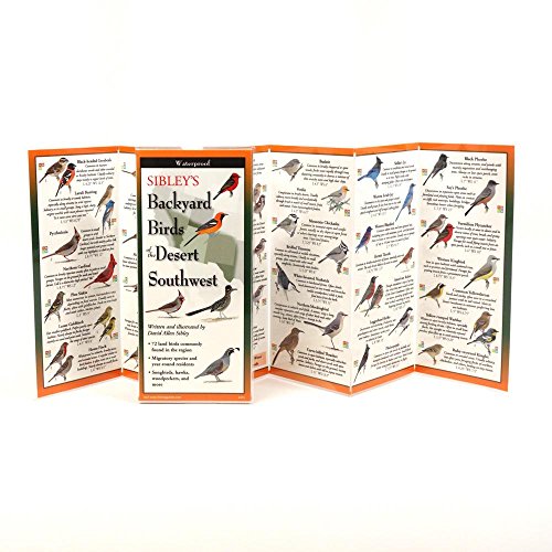 Sibley's Back. Birds of the Desert Southwest book cover