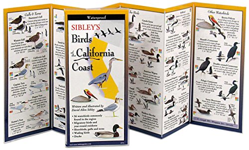 Sibley's Birds of the California Coast book cover