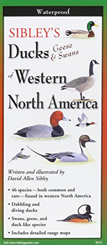 Sibley's Ducks, Geese,& Swans of Western N.A. book cover
