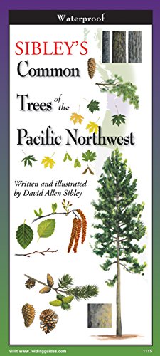 Sibley's Trees of Pacific Northwest book cover