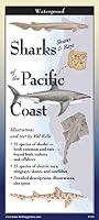 Sharks Of The Pacific Coast