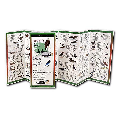Sibley's Birds of the Alaskan Coast book cover
