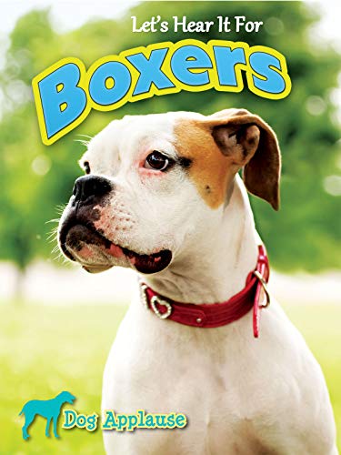 Cover of Let's Hear It for Boxers