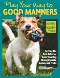 Book cover for “Play Your Way to Good Manners”