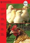 Young and Old (RiverStream Readers: Level Pre 1)