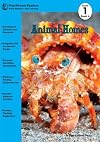 Animal Homes (RiverStream Readers: Level 1)