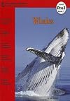 Whales (RiverStream Readers: Level Pre 1)