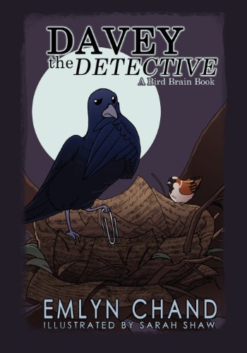 Davey the Detective book cover