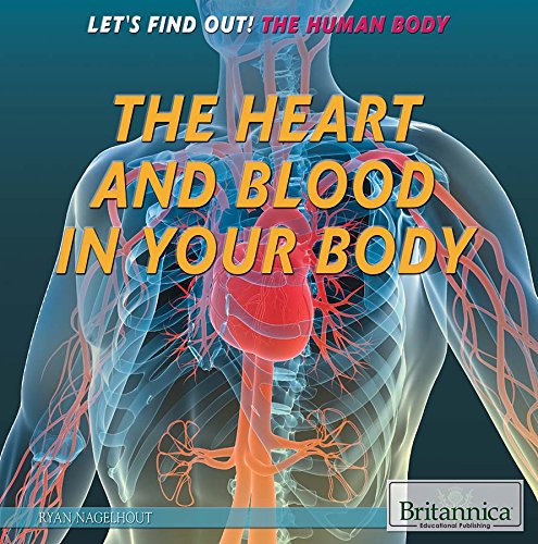 Cover of The heart and blood in your body