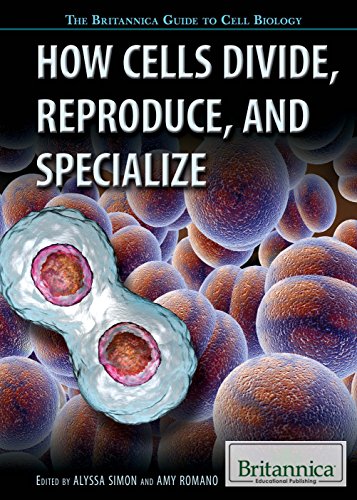 Cover of How cells divide, reproduce, and specialize