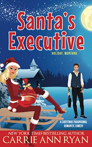 Santa's Executive book cover