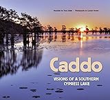 Caddo Visions Of A Southern Cypress Lake
