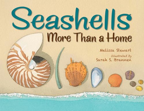 Seashells : by Stewart, Melissa