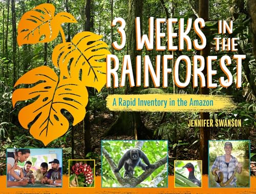 3 Weeks In the Rainforest : by Swanson, Jennifer