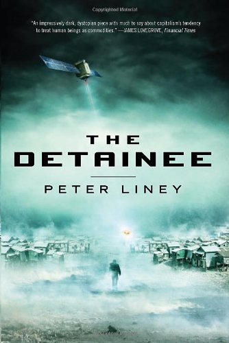 The Detainee book cover