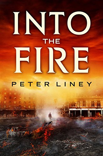 Into The Fire book cover