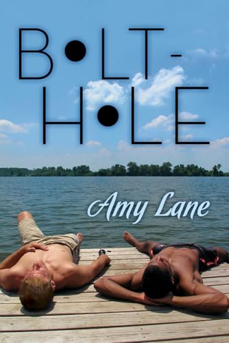 Bolt-hole book cover