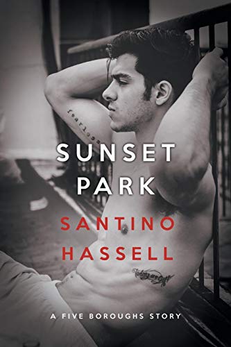 Sunset Park book cover