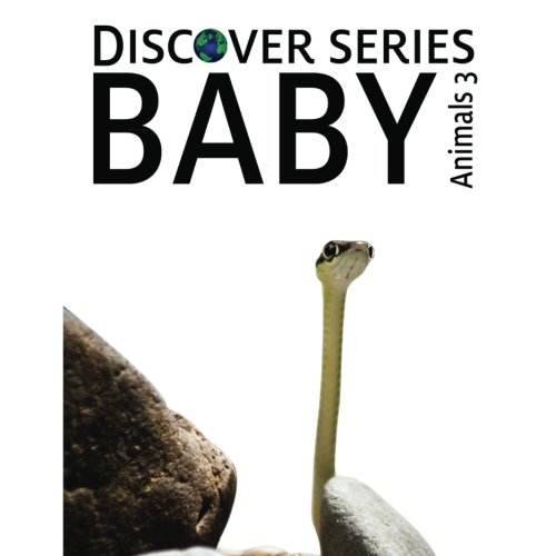 Cover of Baby Animals 3
