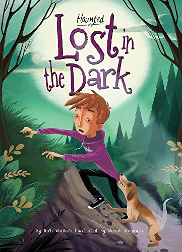 Lost in the Dark book cover