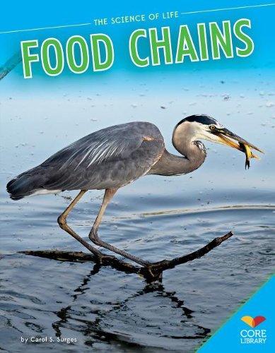 Cover of Food chains