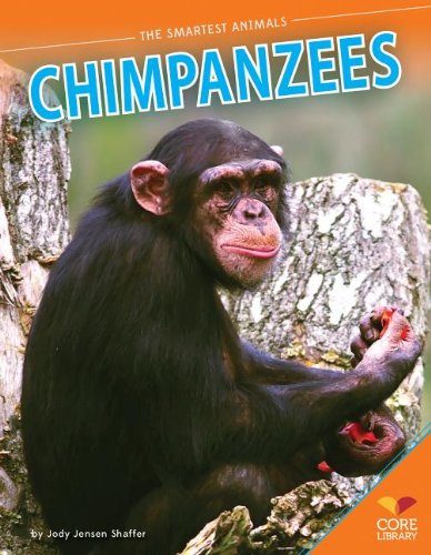 Chimpanzees book cover
