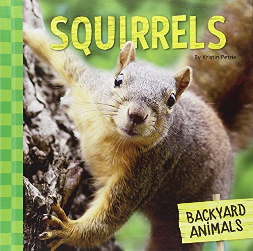 Cover of Backyard Animals