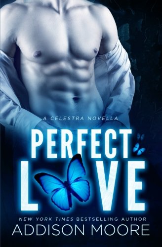 Perfect Love book cover