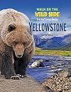 Yellowstone