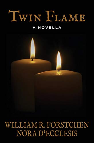 Twin Flame book cover