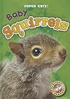 Baby Squirrels (Super Cute!)