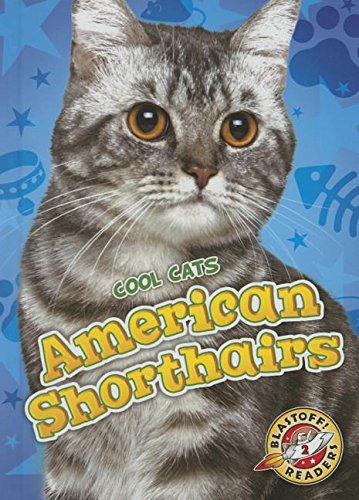 Cover of American shorthairs